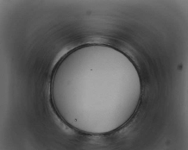 X0000093501130200710191243