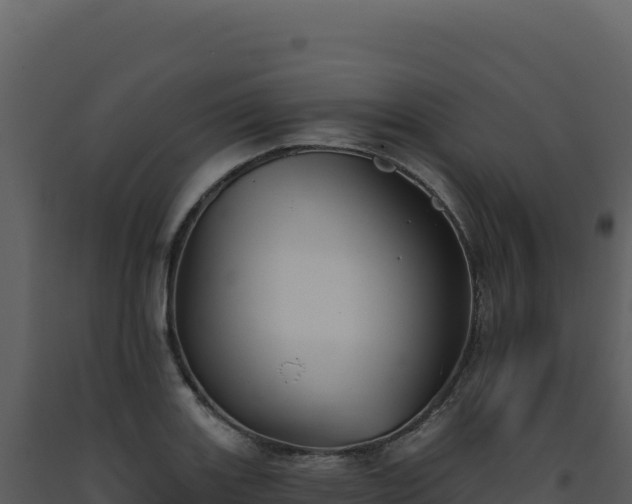 X0000093501131200710191243