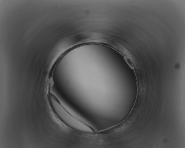 X0000093501132200710191243