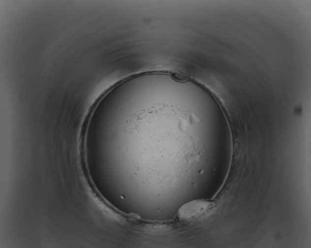 X0000093501135200710191243