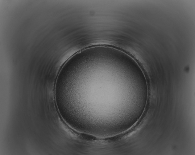 X0000093501137200710191243