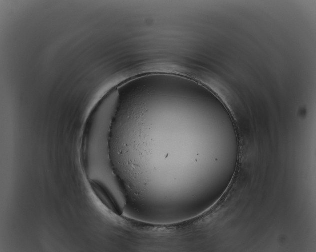 X0000093501139200710191243