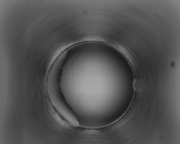 X0000093501140200710191243