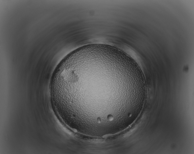 X0000093501141200710191243