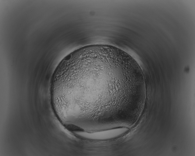X0000093501142200710191243