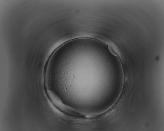 X0000093501143200710191244
