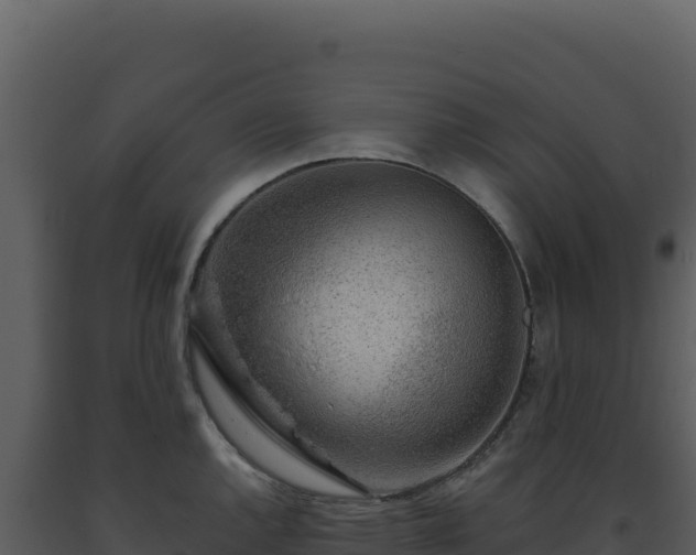 X0000093501144200710191244