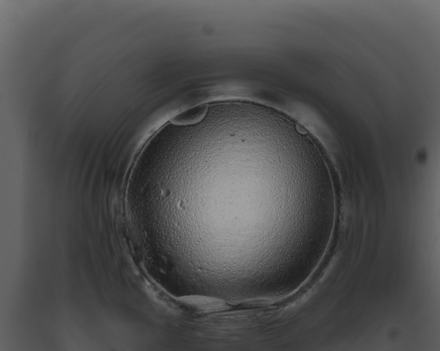 X0000093501145200710191244