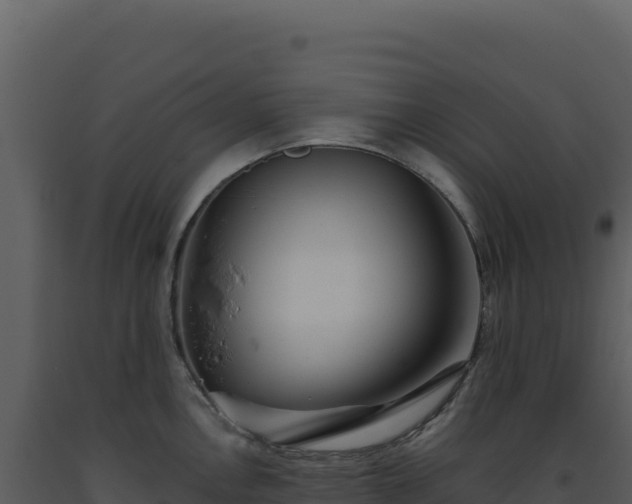 X0000093501146200710191244