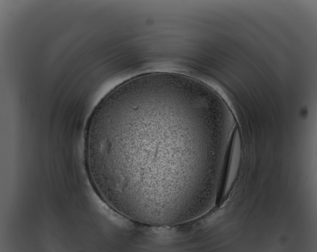X0000093501147200710191244
