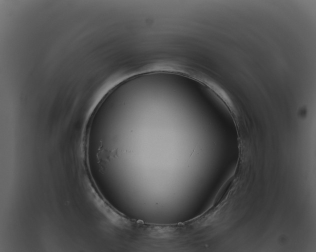 X0000093501148200710191244