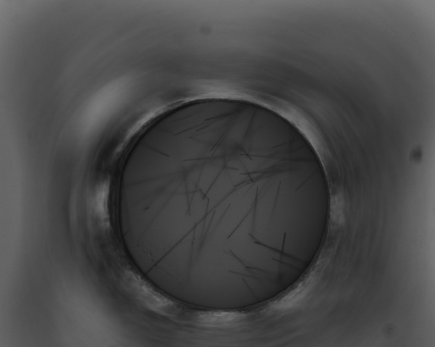 X0000093501150200710191244