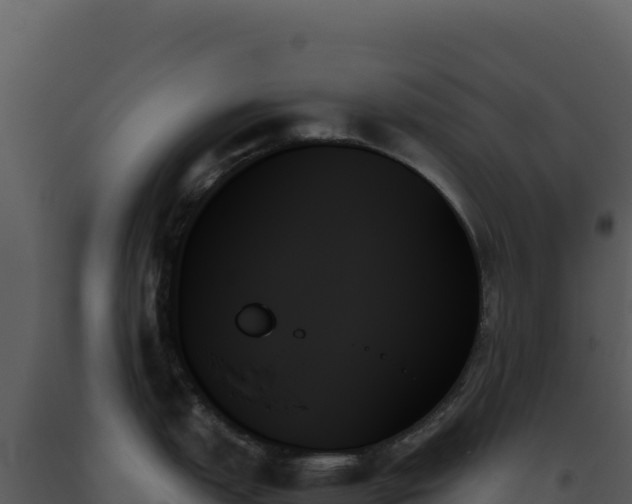 X0000093501151200710191244