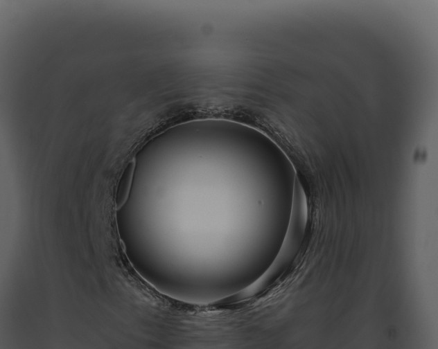 X0000093501153200710191243