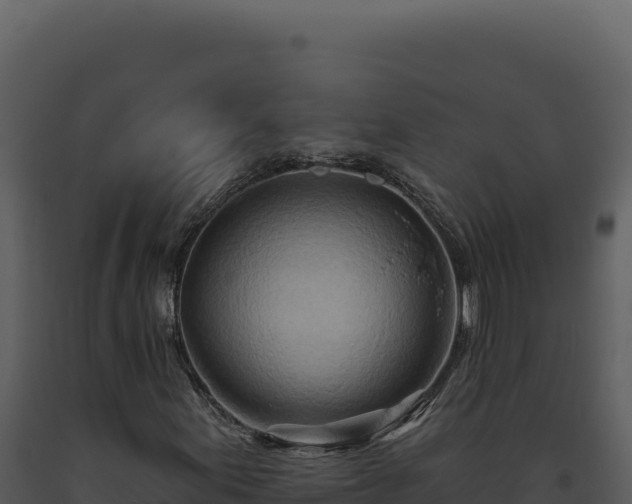 X0000093501155200710191243