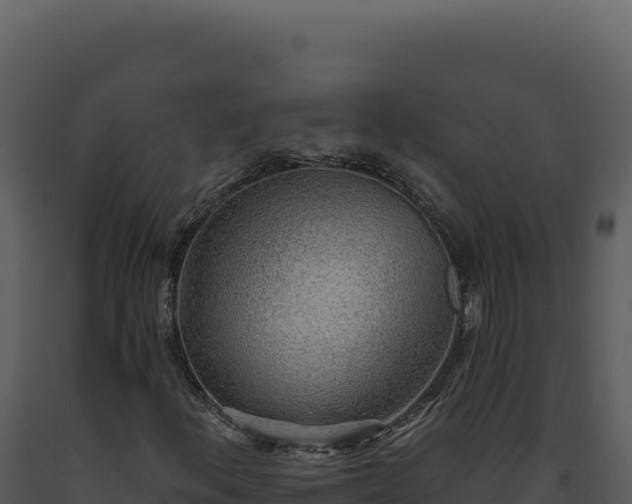 X0000093501156200710191243