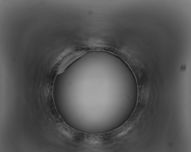 X0000093501157200710191243