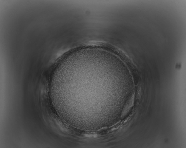 X0000093501158200710191243