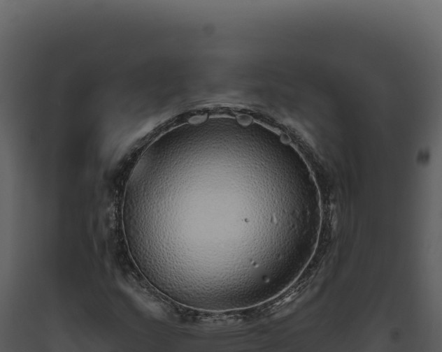 X0000093501159200710191243