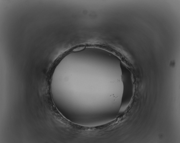 X0000093501160200710191243