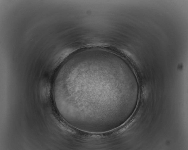 X0000093501161200710191243