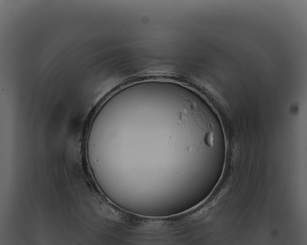 X0000093501162200710191243