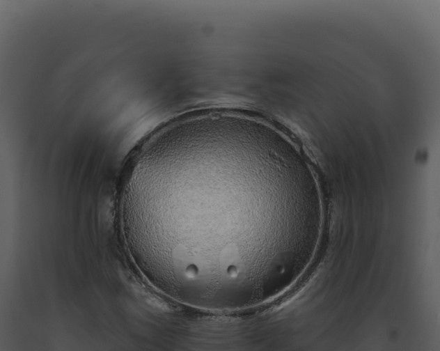 X0000093501163200710191243