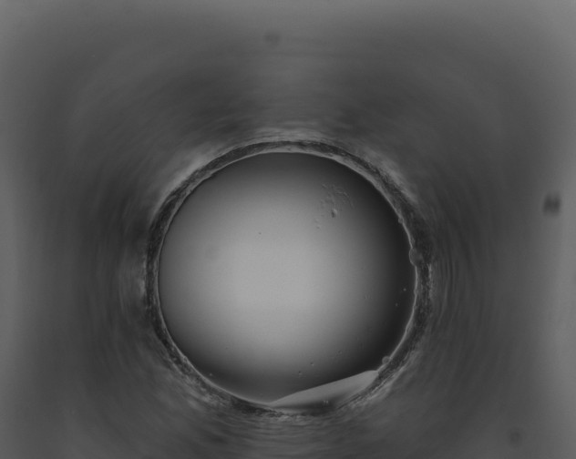 X0000093501165200710191243