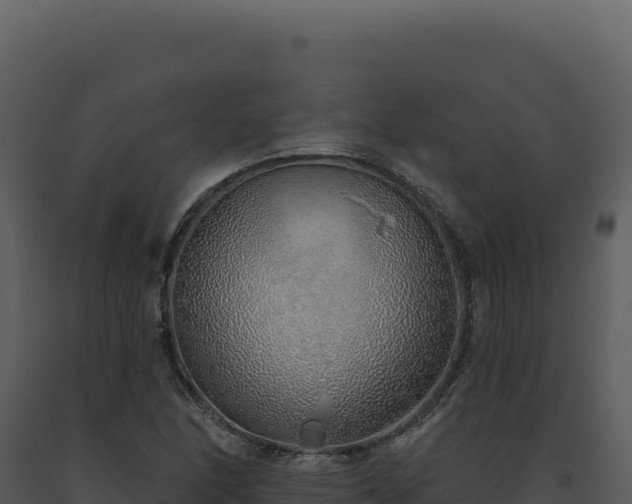 X0000093501166200710191243