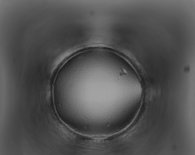 X0000093501167200710191243