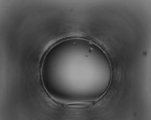X0000093501168200710191243