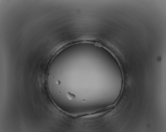 X0000093501169200710191243