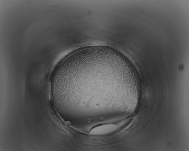 X0000093501171200710191243