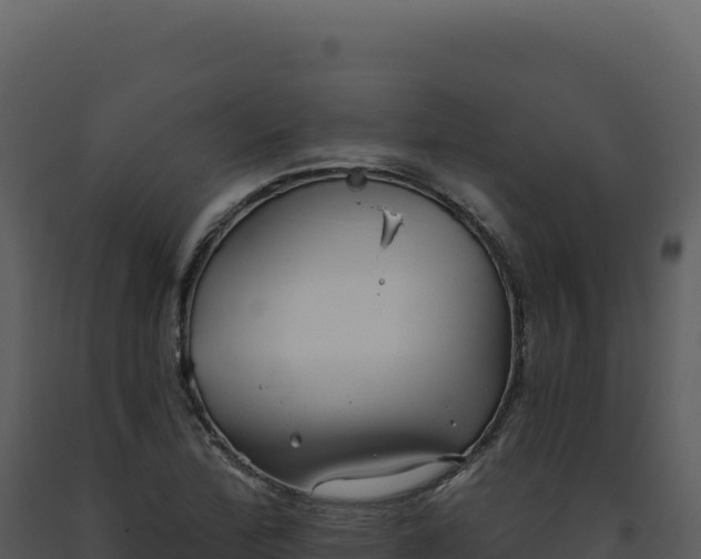 X0000093501172200710191243