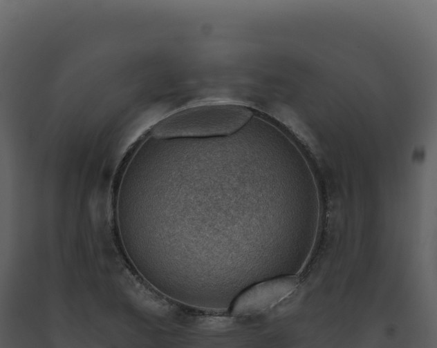 X0000093501173200710191243