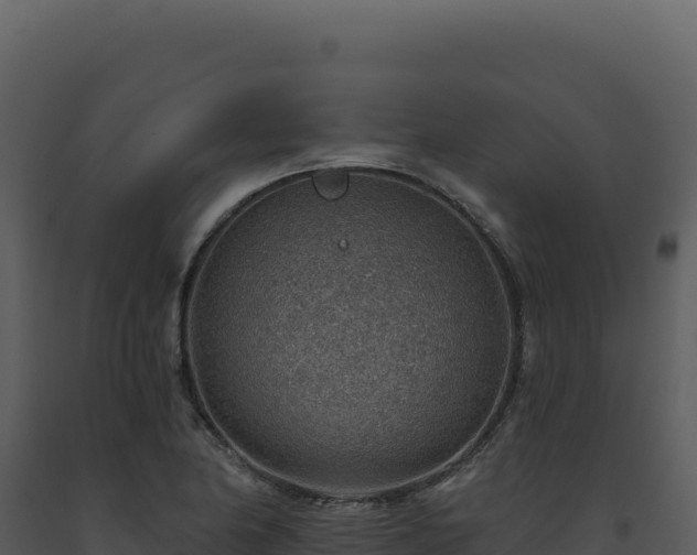 X0000093501174200710191243