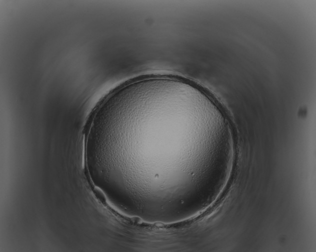 X0000093501175200710191243
