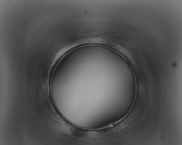 X0000093501176200710191243