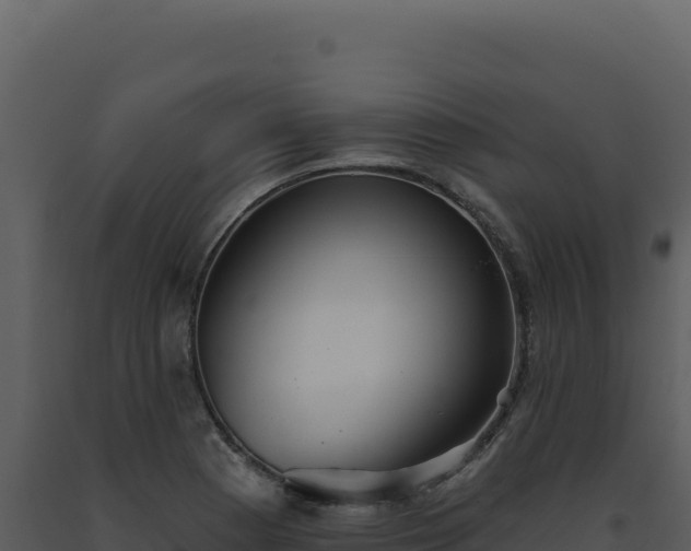 X0000093501177200710191243
