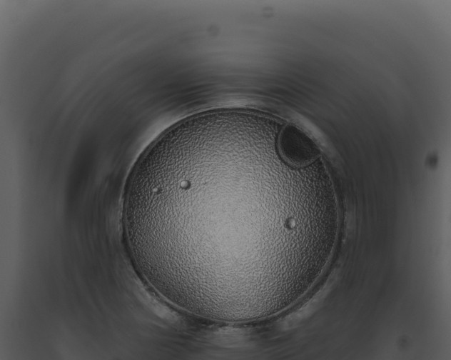 X0000093501178200710191243