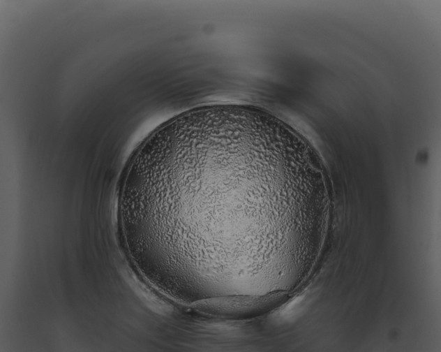 X0000093501179200710191243