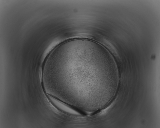 X0000093501180200710191243