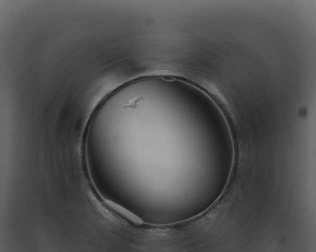 X0000093501181200710191243