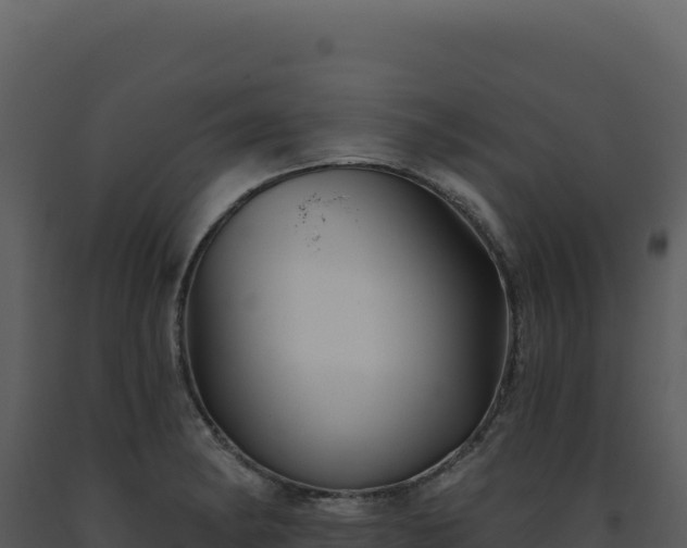 X0000093501182200710191243