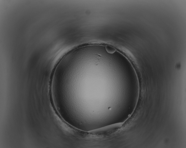 X0000093501183200710191243