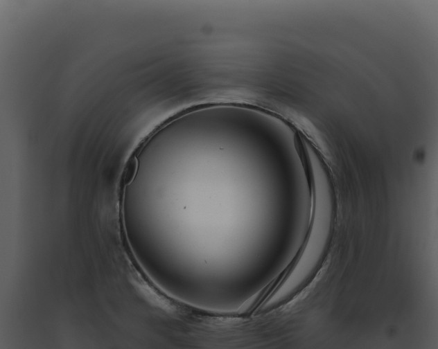 X0000093501184200710191243