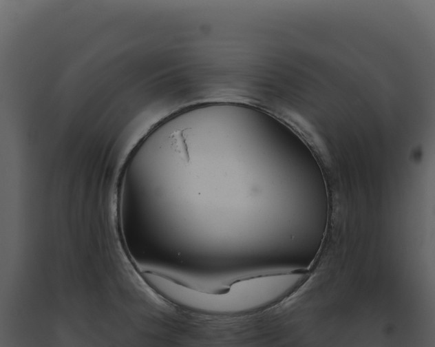 X0000093501188200710191243