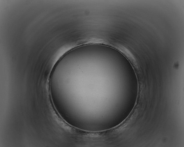 X0000093501190200710191243