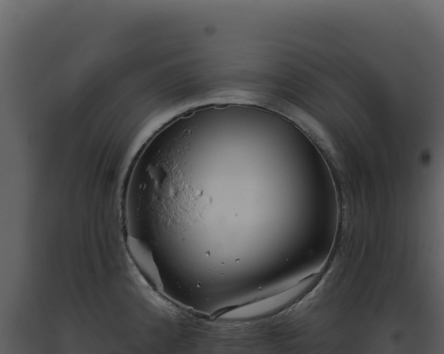 X0000093501192200710191243