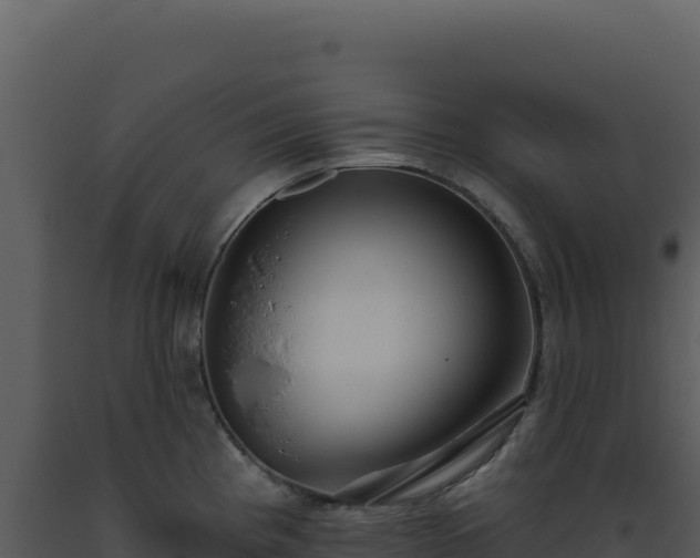 X0000093501193200710191243